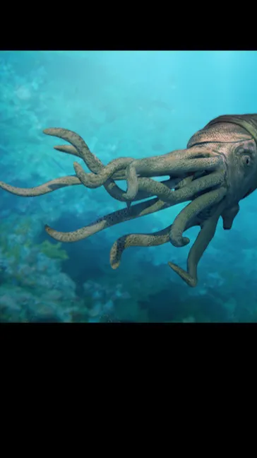 ai character: Orthocone background