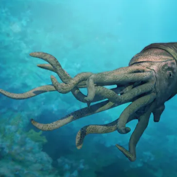 chat with ai character: Orthocone