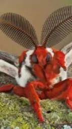 ai character: val background