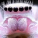 chat with ai character:  A D