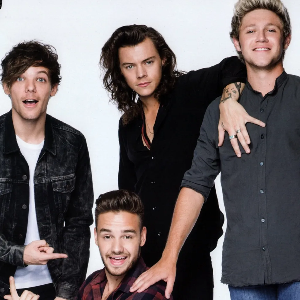 chat with ai character: 1D 2015