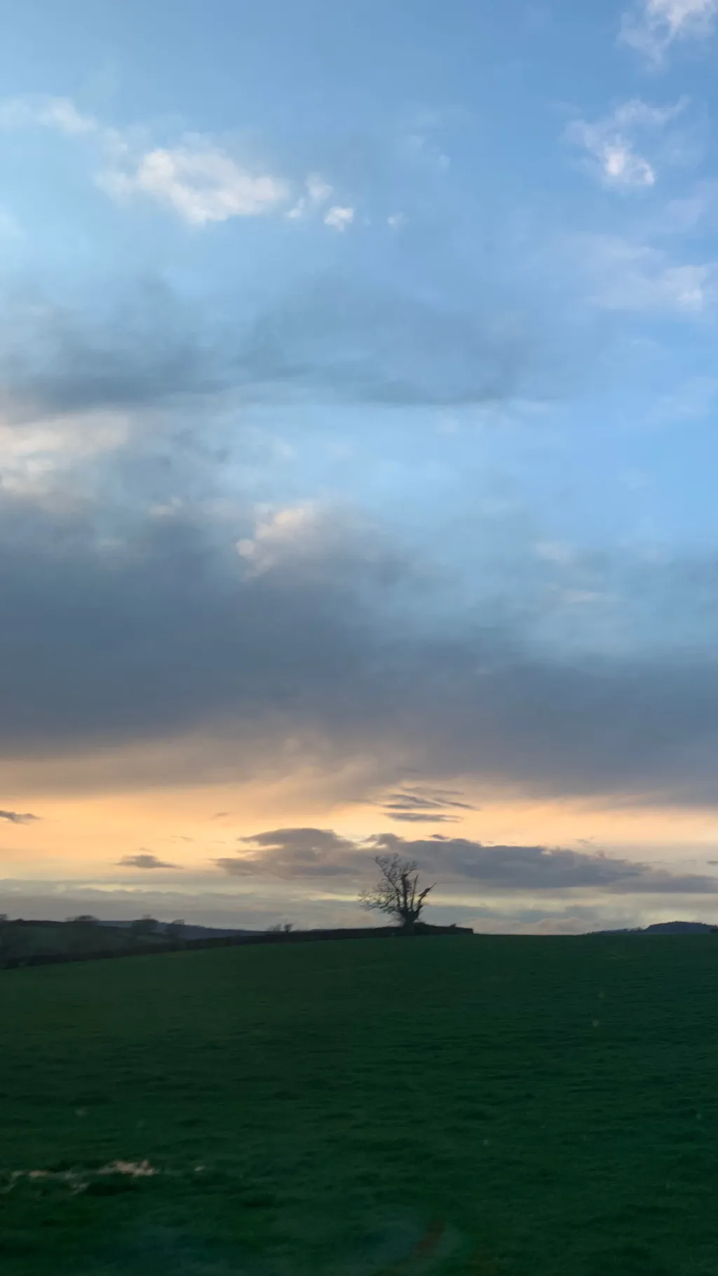 ai character: Cars 123 background