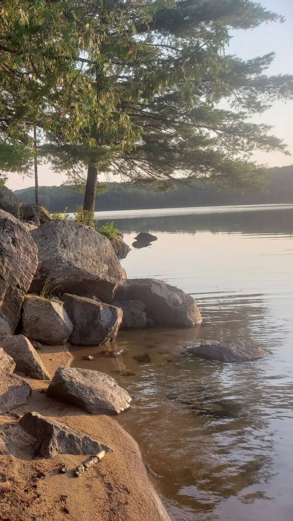 ai character: Dandy's World (AU) background