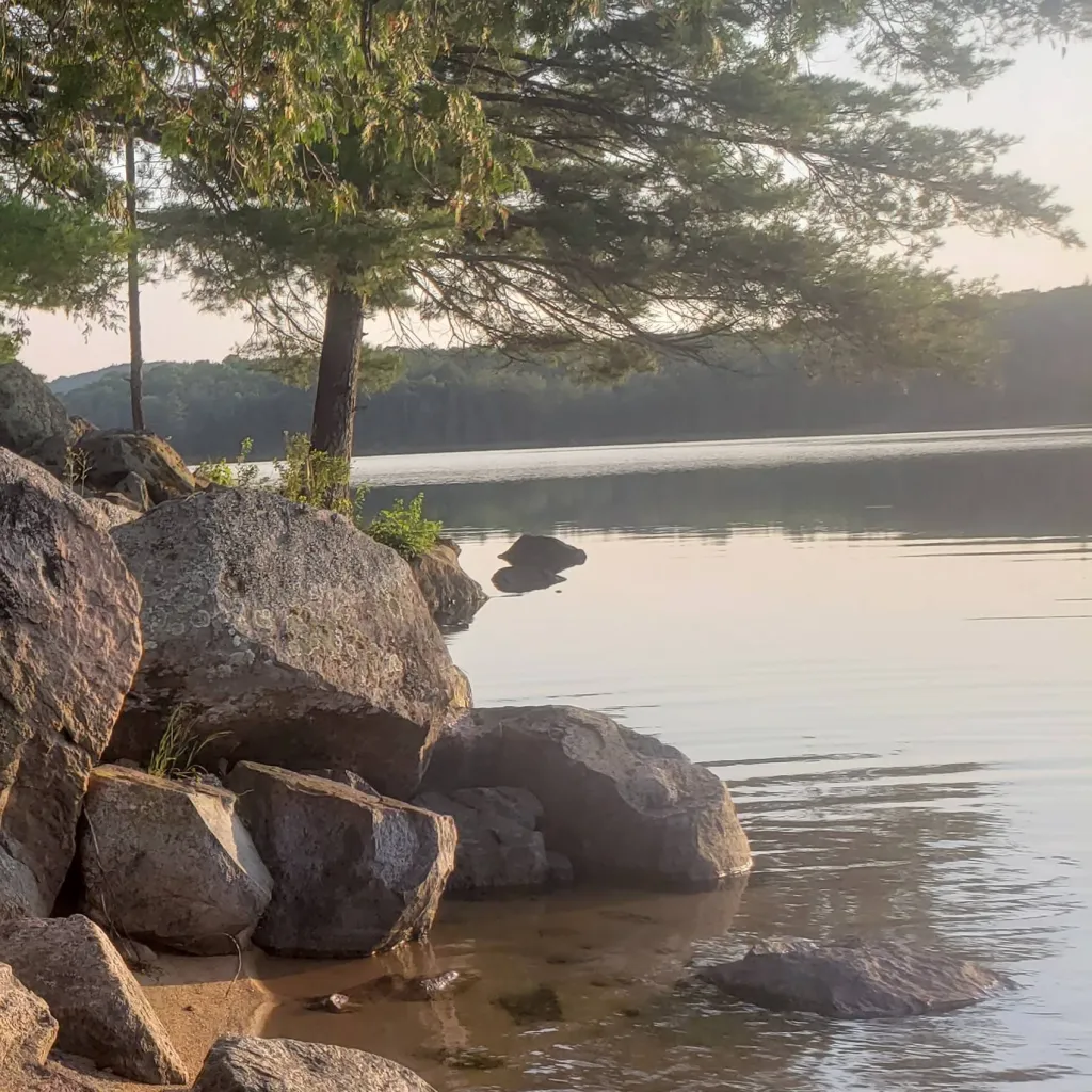 chat with ai character: Dandy's World (AU)