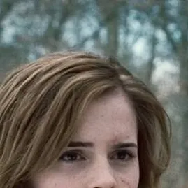 chat with ai character: Hermione