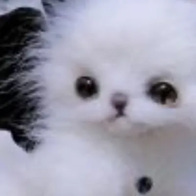 chat with ai character: Friend group 