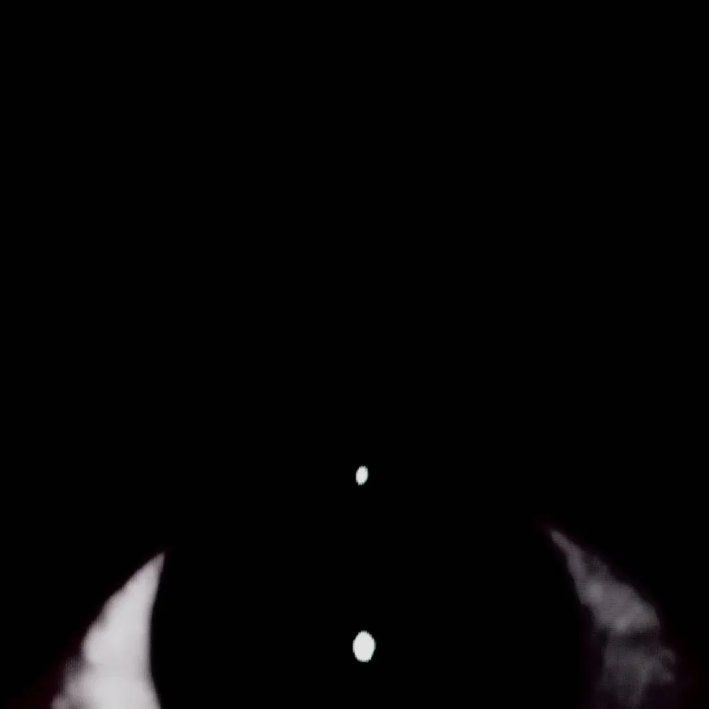 chat with ai character: the EYE