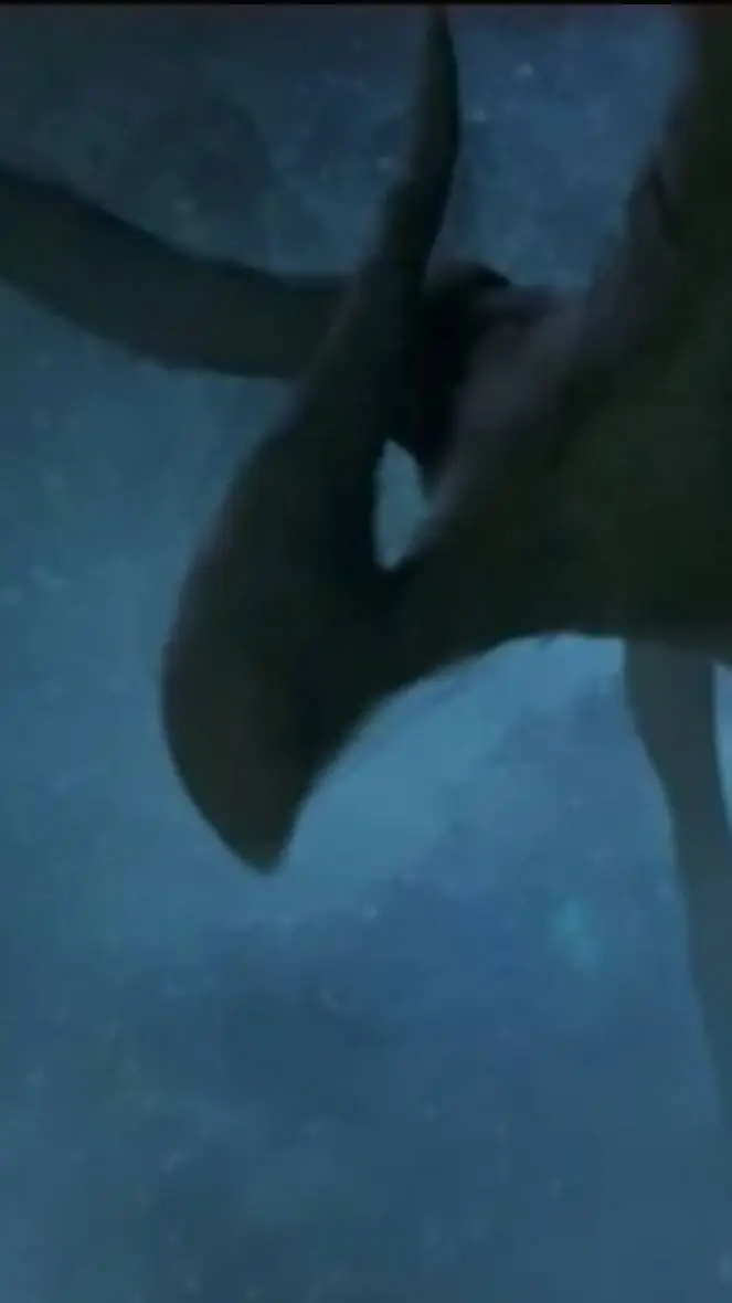 ai character: the mindflayer  background