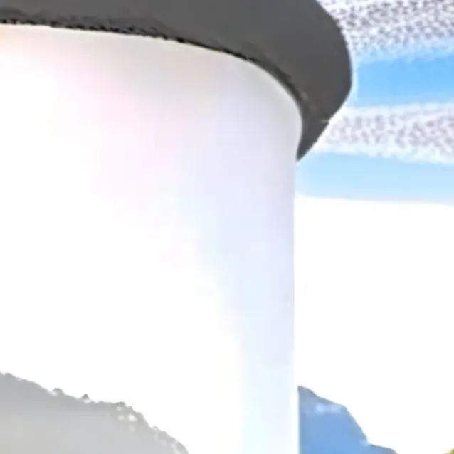 chat with ai character: shrimpo