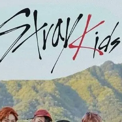 chat with ai character: Skz