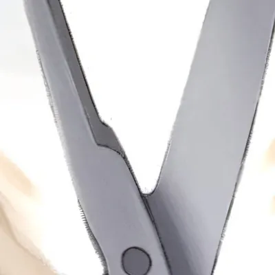 chat with ai character: Scissors