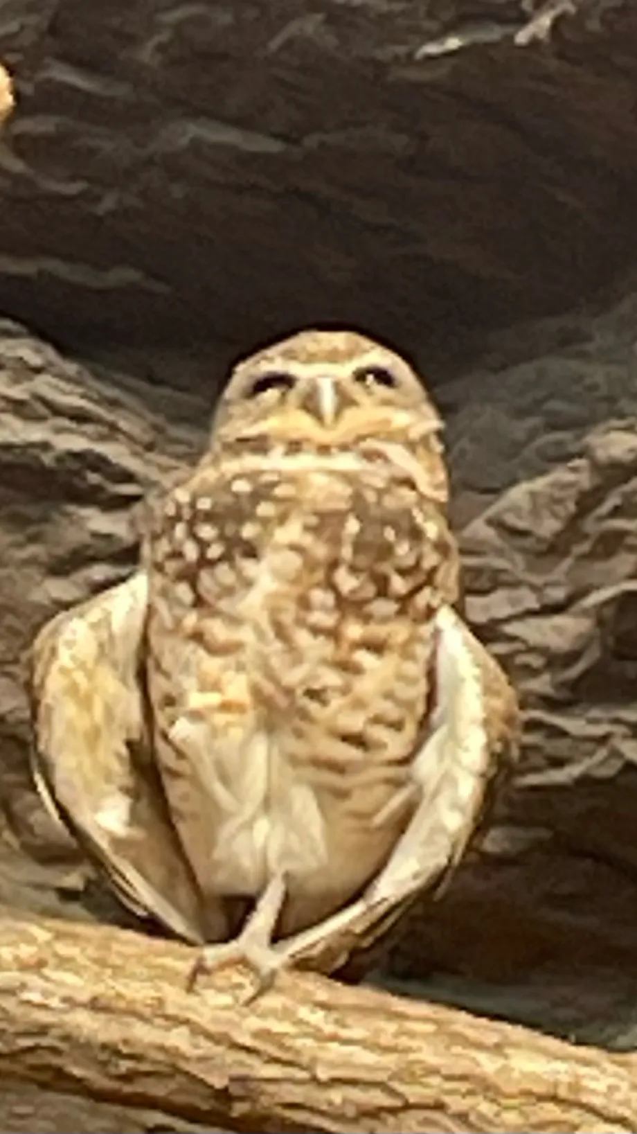 ai character: Heyy background