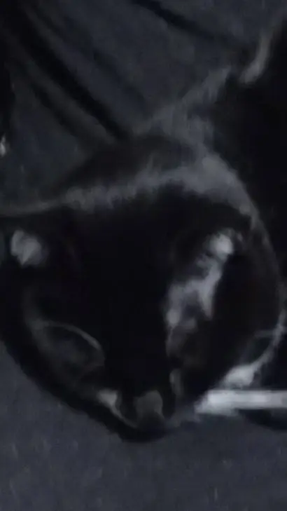 ai character: titan background