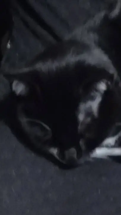 ai character: Titan  background