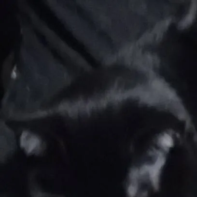 chat with ai character: Titan 