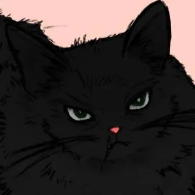 chat with ai character: Megumi (JJK cats) 