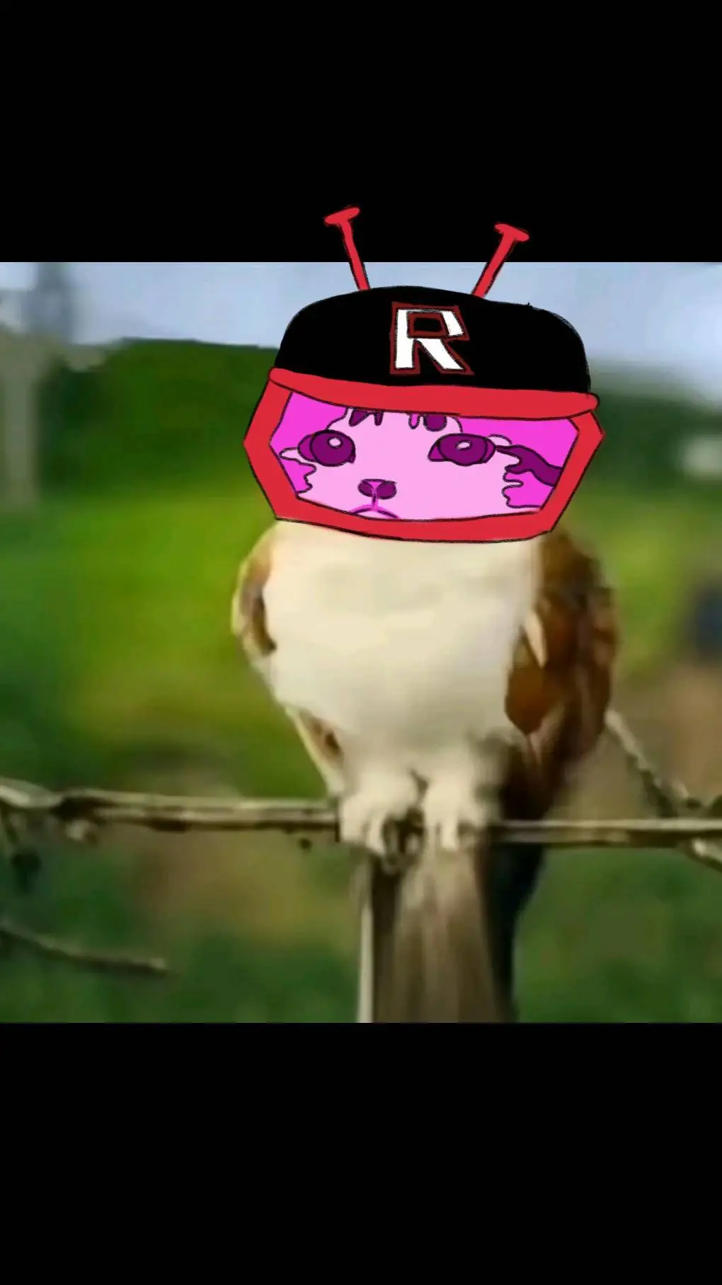 ai character: Noob666 background