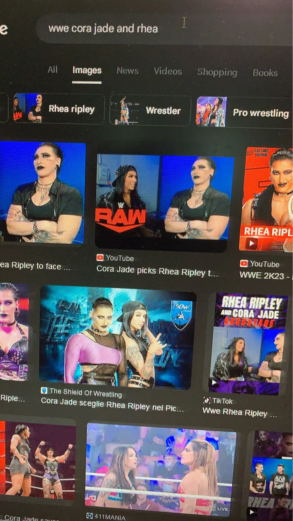 ai character: Wwe raw  background