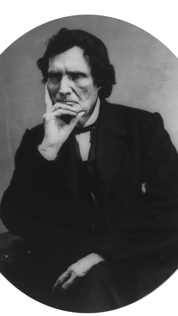 Talkie AI - Chat with Thaddeus Stevens