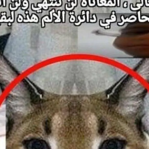 chat with ai character: genie