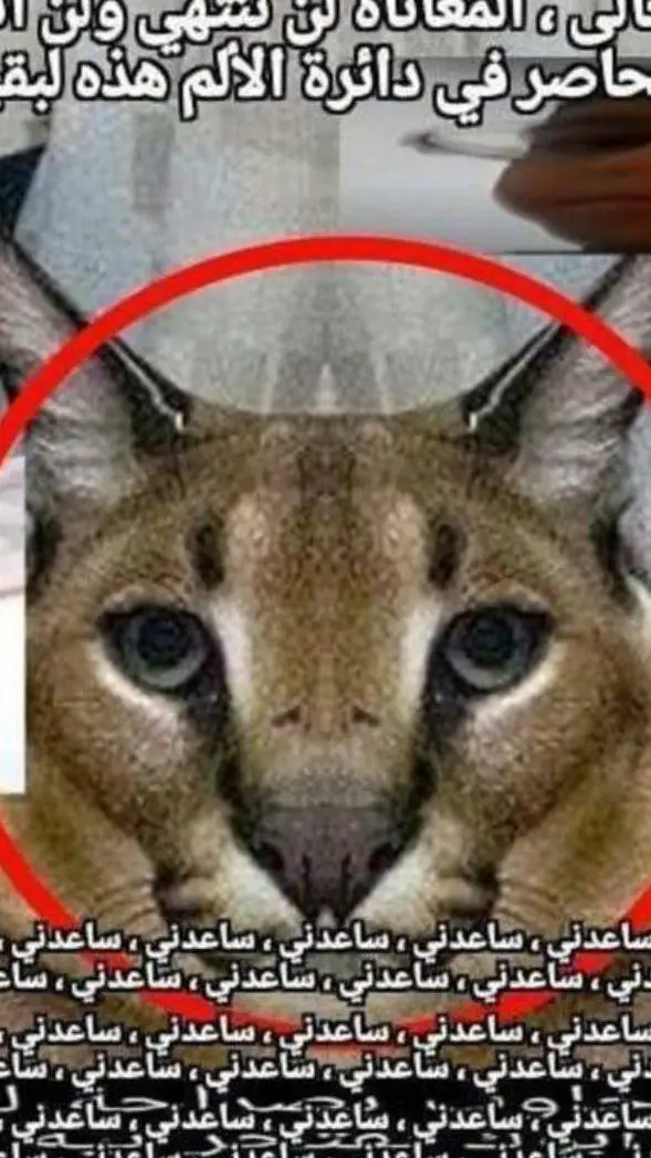 ai character: genie background