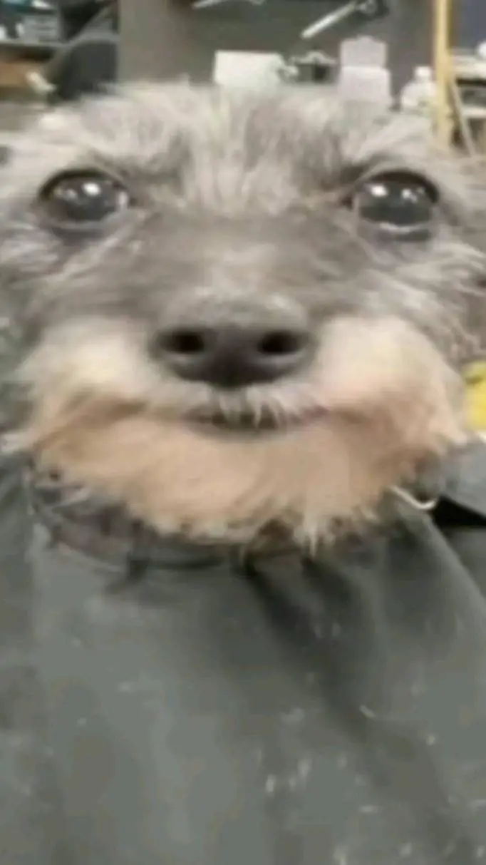 ai character: e background