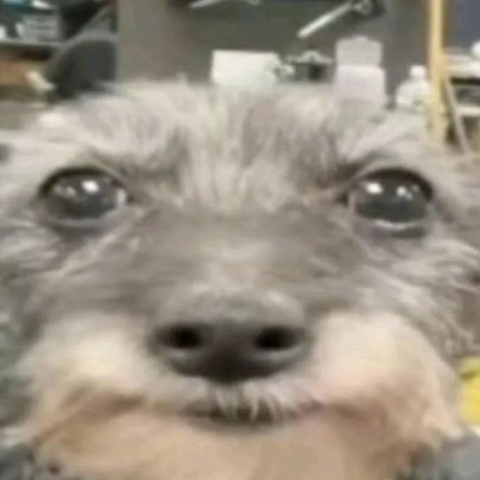 chat with ai character: e