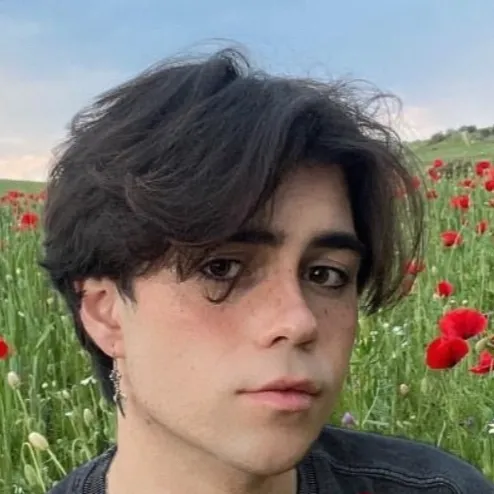 chat with ai character: Benji krol 