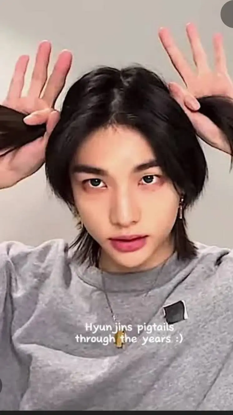 ai character: Hyunjin background