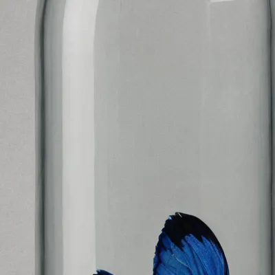 chat with ai character: Water bottle 