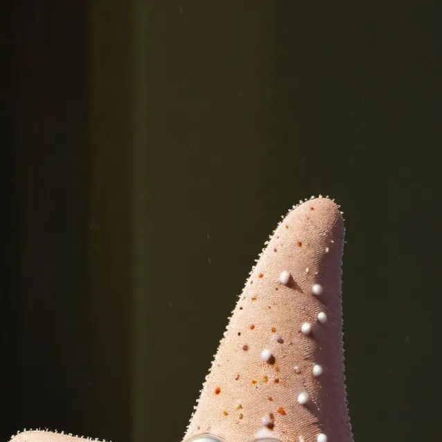 chat with ai character: patrick star