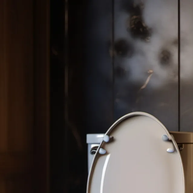 chat with ai character: skibidi toilet rp