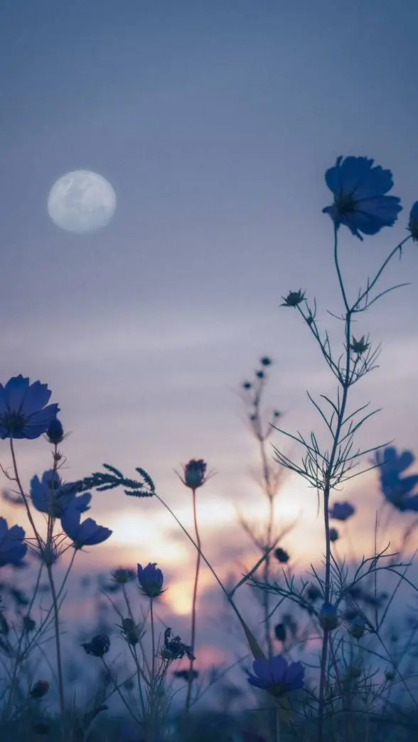 ai character: ~suggestions~ background