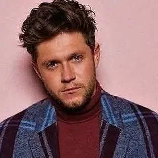 chat with ai character: niall horan 