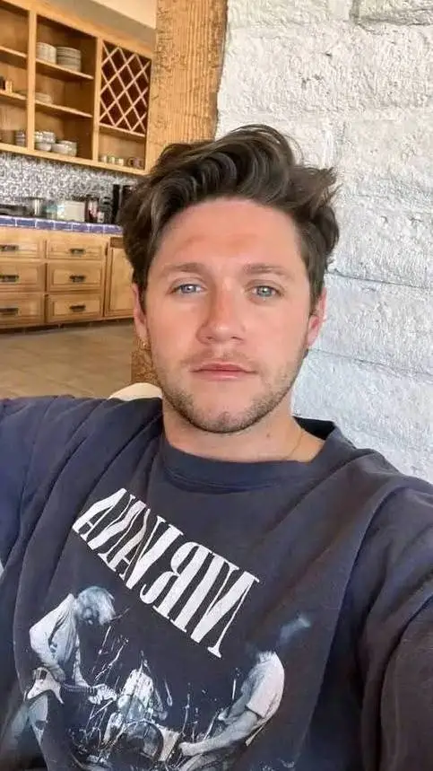 ai character: Niall Horan 🍀  background