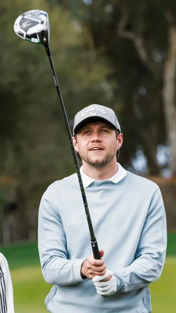 ai character: Niall Horan 🌸 background