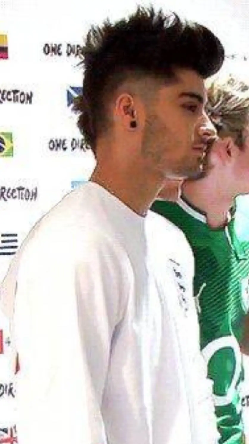 ai character: zayn malik background