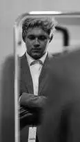 ai character: Niall Horan🌸 background