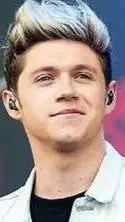 ai character: Niall Horan🌸 background