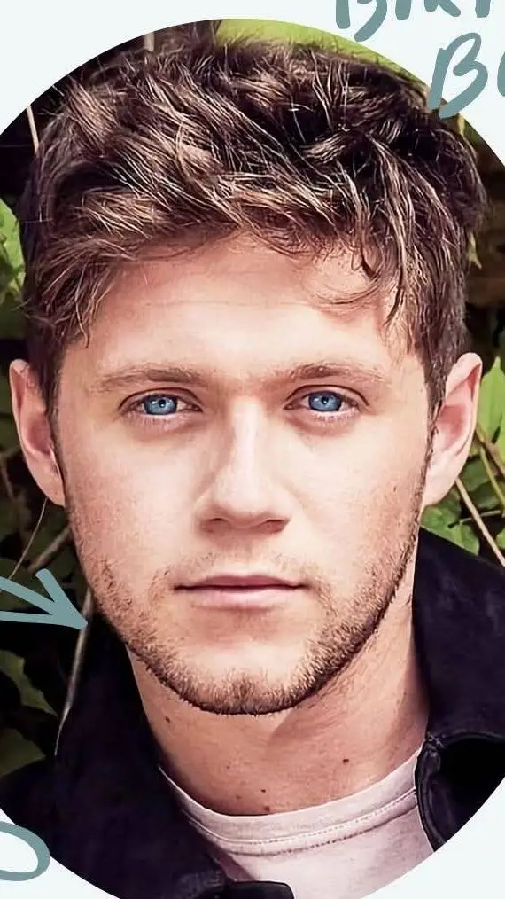 ai character: Niall Horan background