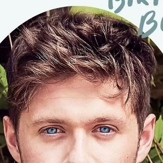 chat with ai character: Niall Horan