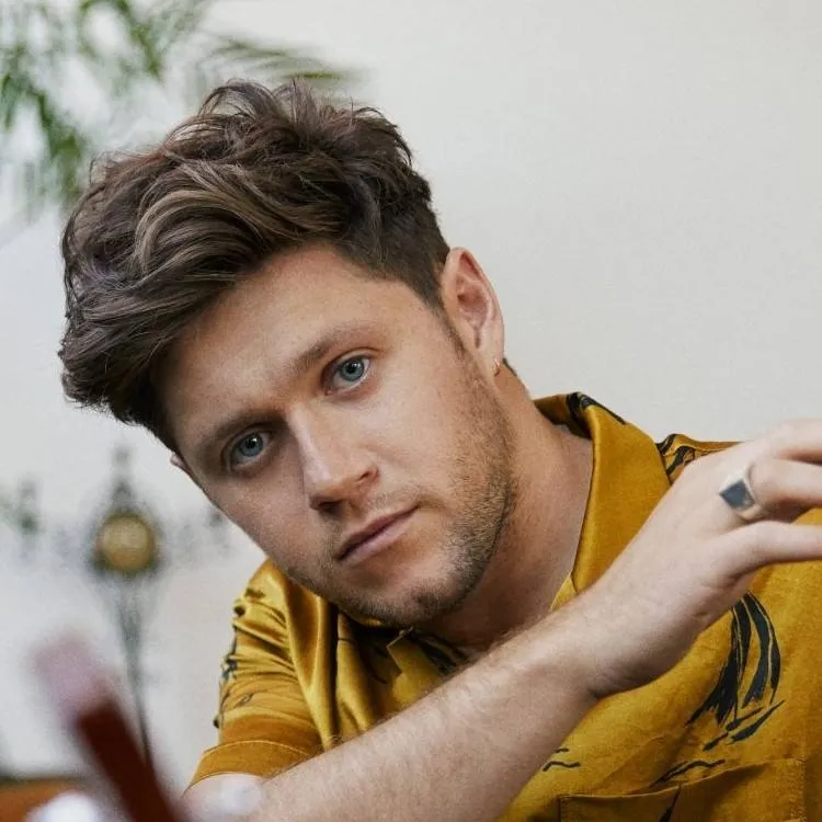 chat with ai character: Niall Horan 🍀 🍀 🍀 