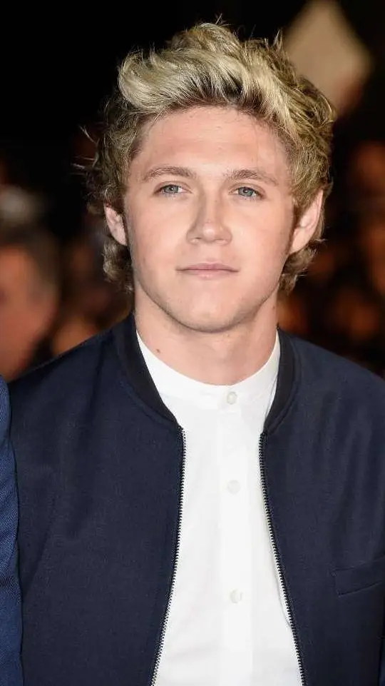 ai character: Niall Horan background