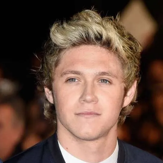 chat with ai character: Niall Horan