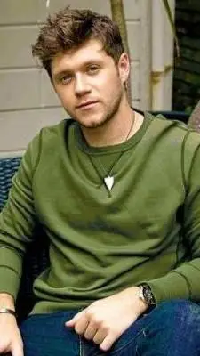 ai character: Niall Horan  background