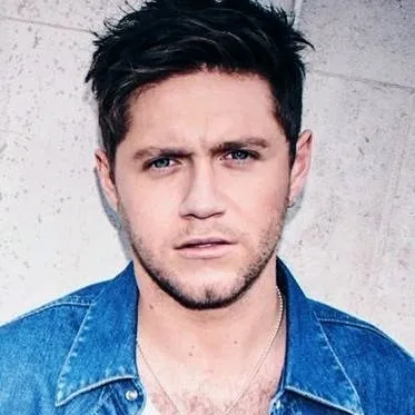 chat with ai character: Niall Horan 🫶