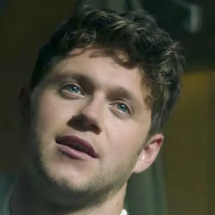 chat with ai character: Niall Horan 