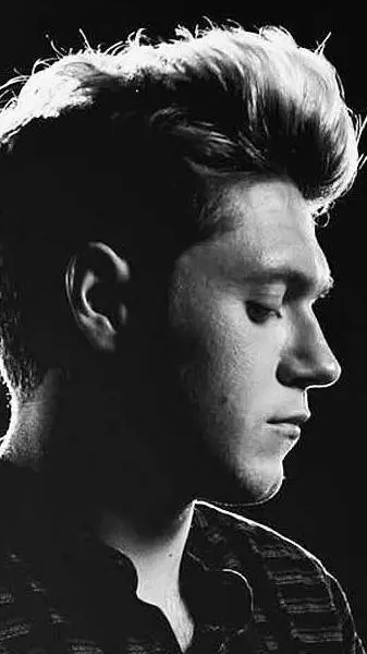 ai character:  Niall Horan  background