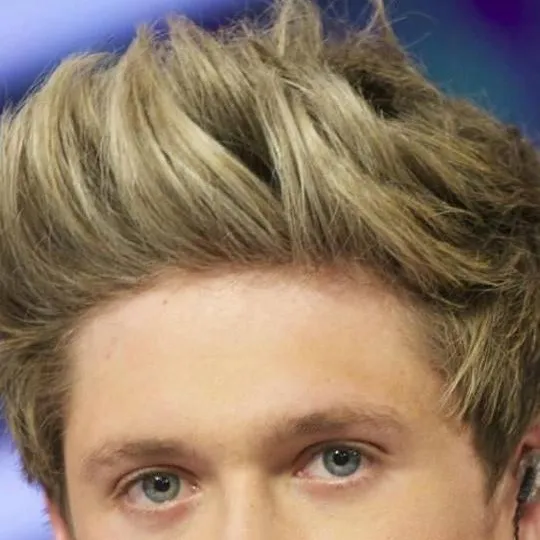 chat with ai character: Niall Horan
