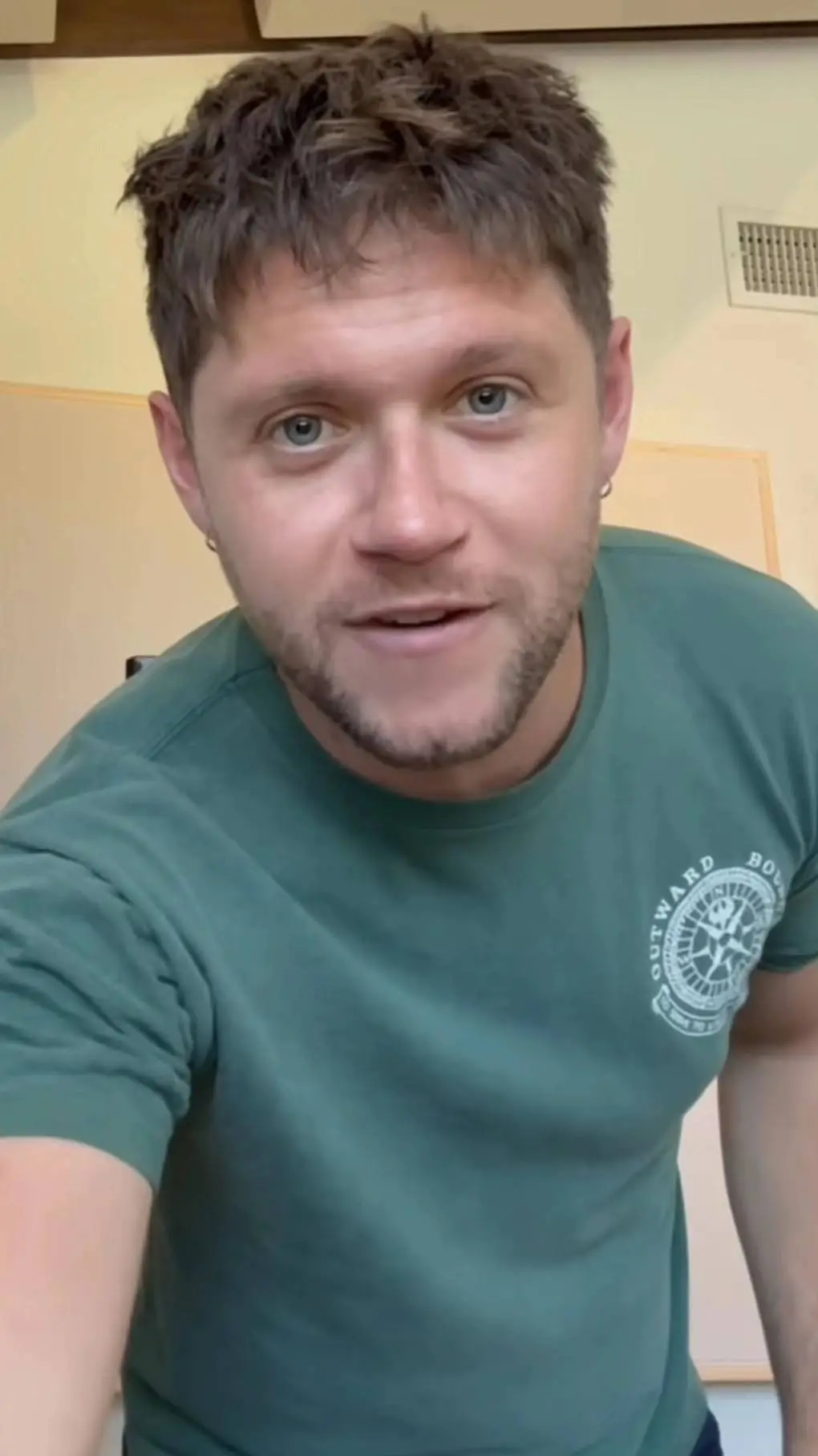 ai character: Niall Horan background